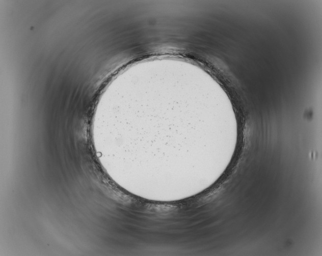 X0000111531209200908251154