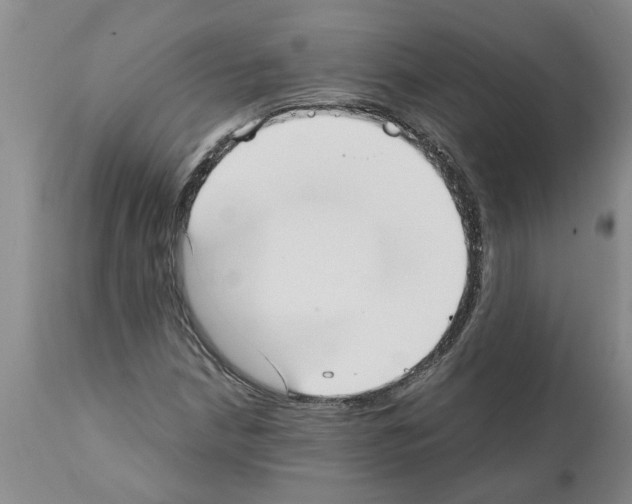 X0000111531210200908251154