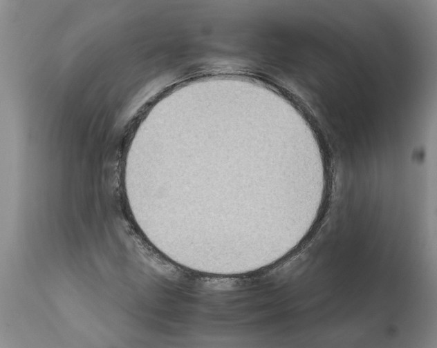 X0000111531211200908251154