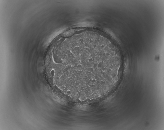 X0000111531213200908251154