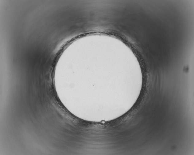 X0000111531214200908251154