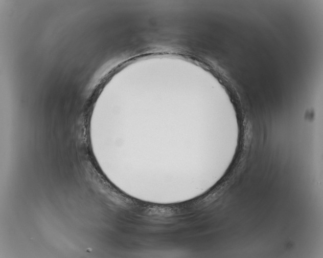 X0000111531215200908251154