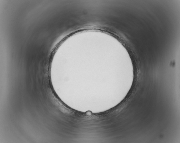 X0000111531216200908251154