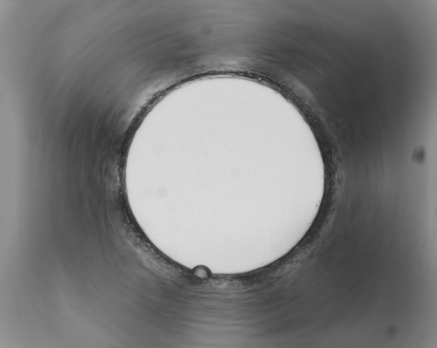 X0000111531218200908251154