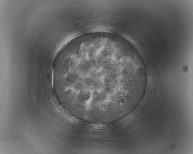 X0000111531219200908251154