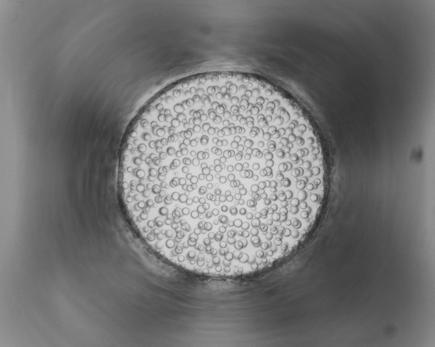 X0000111531220200908251154