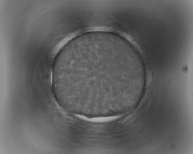 X0000111531221200908251154