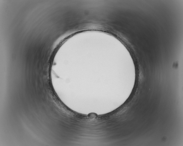 X0000111531222200908251154