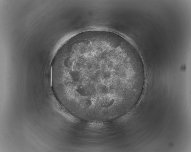 X0000111531223200908251154