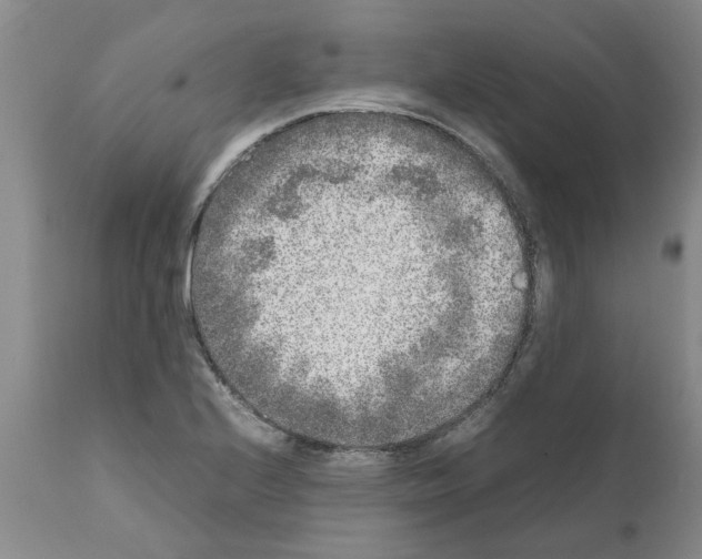 X0000111531224200908251154