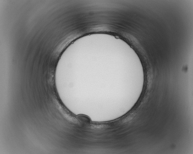 X0000111531225200908251154