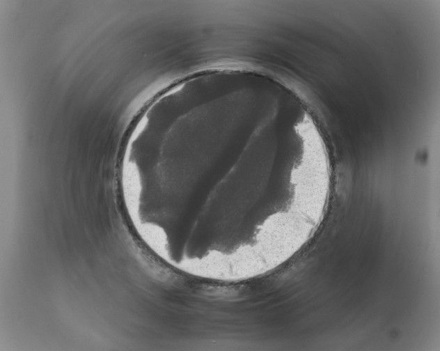 X0000111531229200908251154