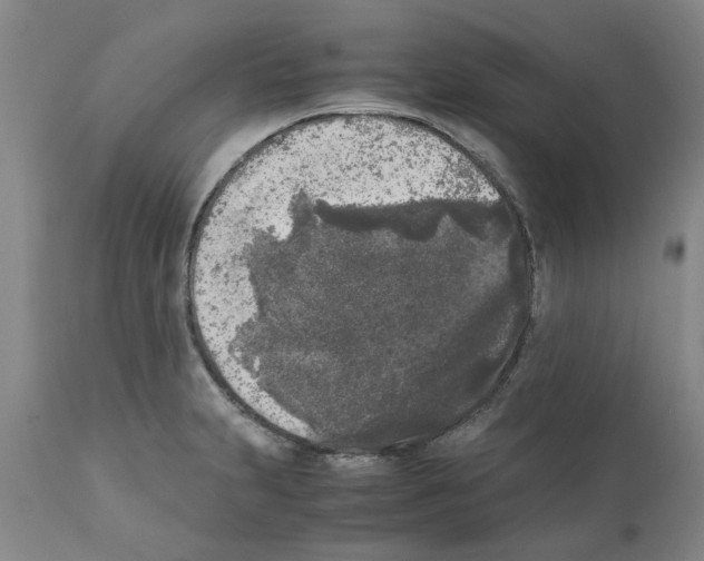 X0000111531231200908251154