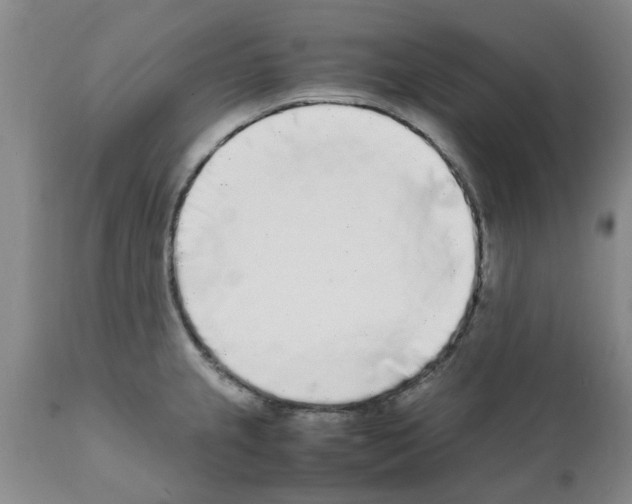 X0000111531237200908251154