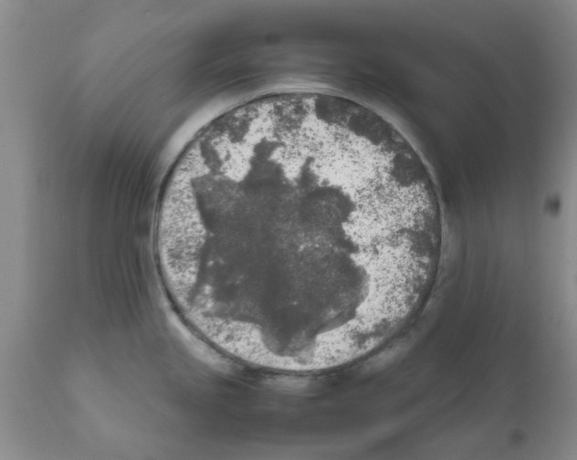 X0000111531245200908251154