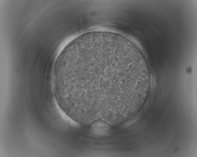 X0000111531247200908251154