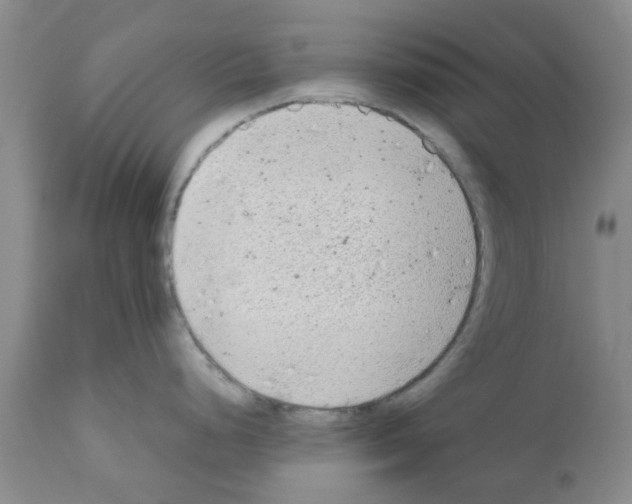 X0000111531248200908251154