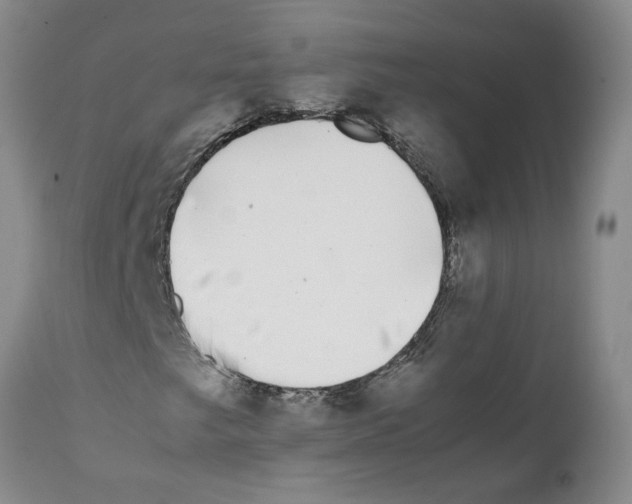 X0000111531249200908251154