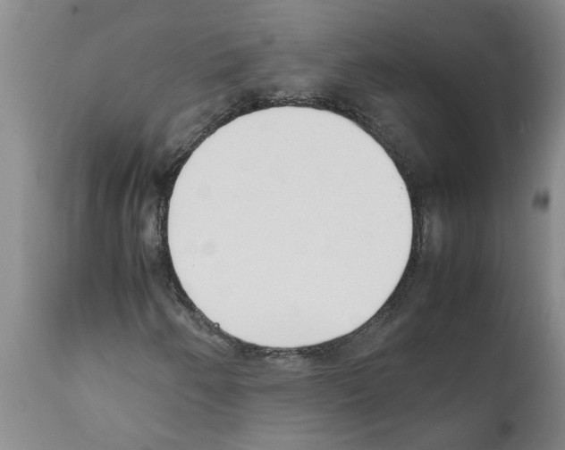 X0000111531250200908251153