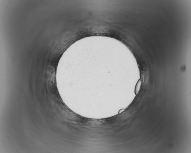 X0000111531251200908251153