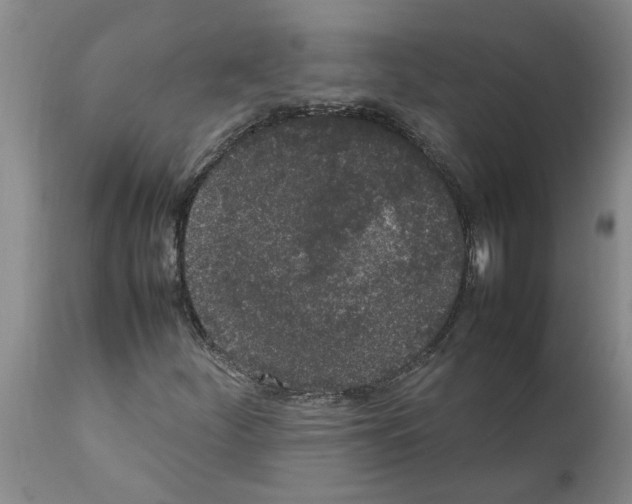 X0000111531252200908251153