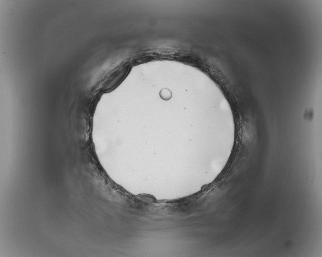 X0000111531253200908251153