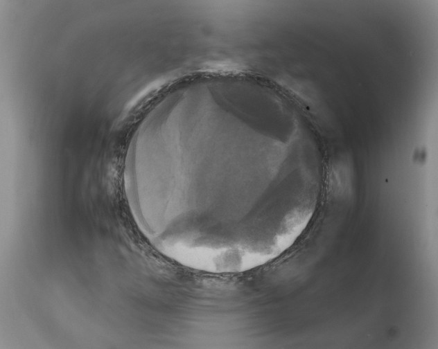 X0000111531254200908251153