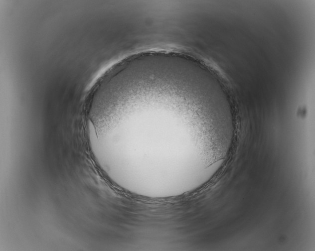 X0000111531256200908251153