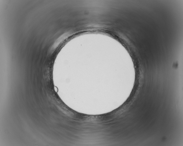 X0000111531259200908251153