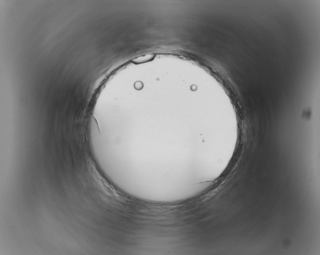 X0000111531260200908251153