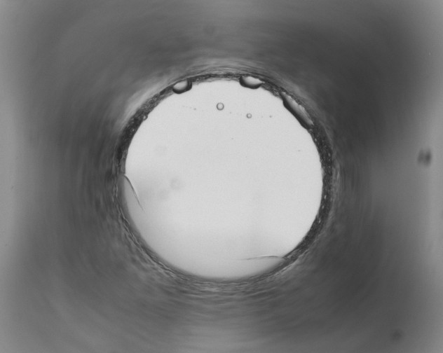 X0000111531261200908251153