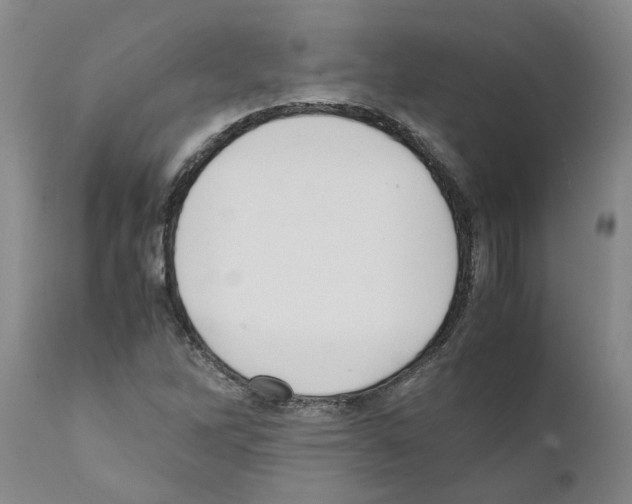 X0000111531262200908251153