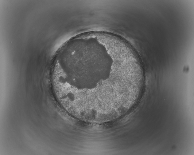 X0000111531263200908251153