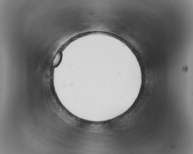 X0000111531264200908251153