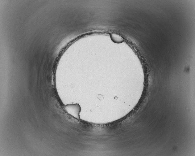 X0000111531267200908251153