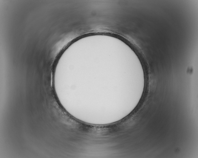 X0000111531269200908251153