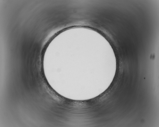 X0000111531270200908251153