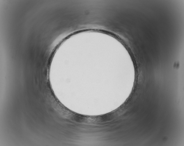 X0000111531271200908251153