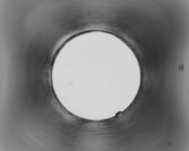 X0000111531272200908251153