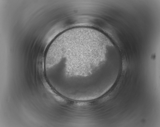 X0000111531274200908251153