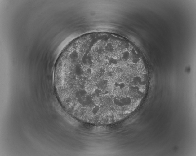 X0000111531275200908251153