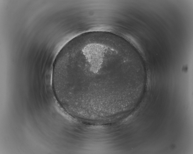 X0000111531276200908251153