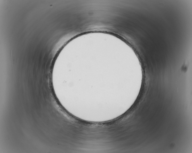 X0000111531277200908251153