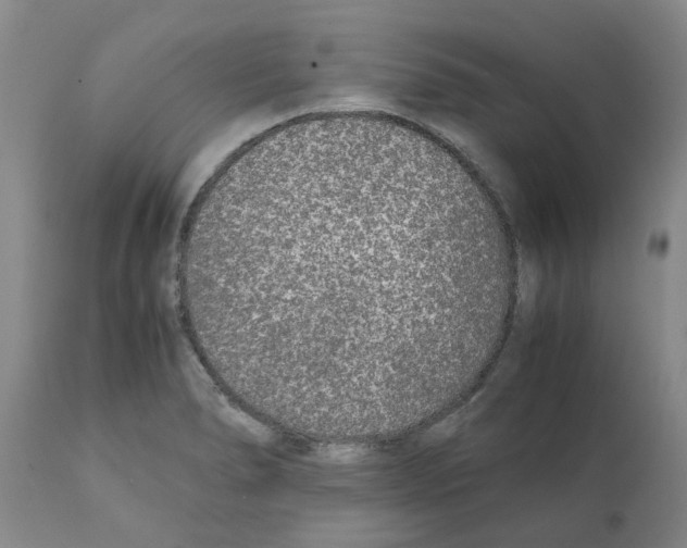 X0000111531278200908251153