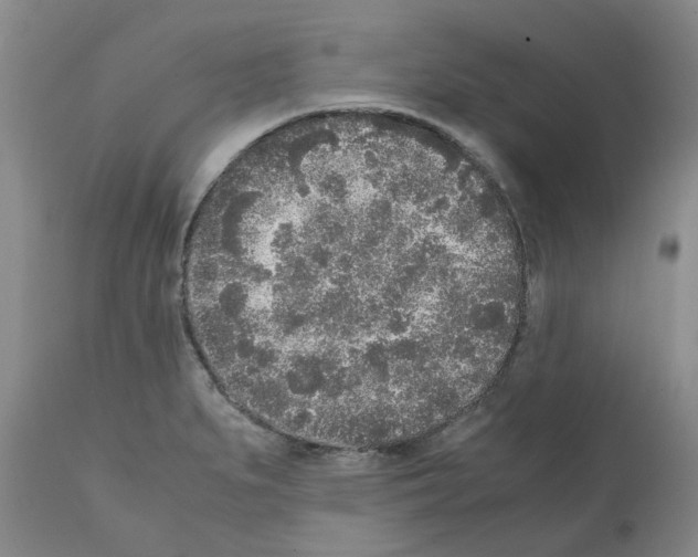 X0000111531279200908251153