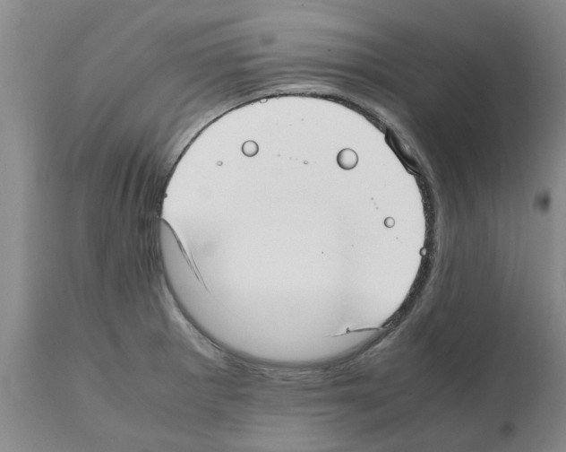 X0000111531281200908251153