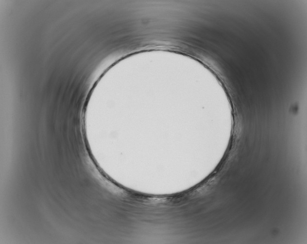 X0000111531283200908251153