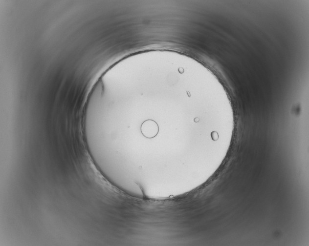 X0000111531284200908251153