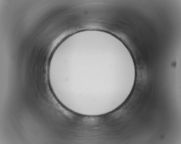 X0000111531286200908251153