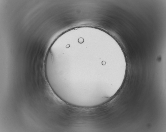 X0000111531288200908251153